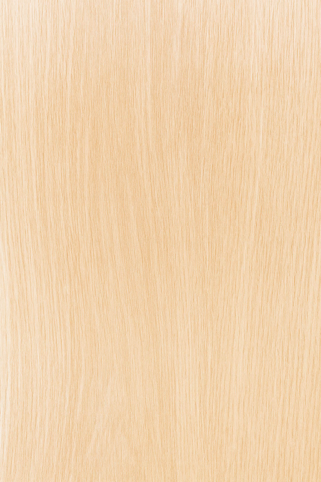 Pavimento SPC Effetto Legno – 5 mm con Tappetino Integrato Rovere Naturale