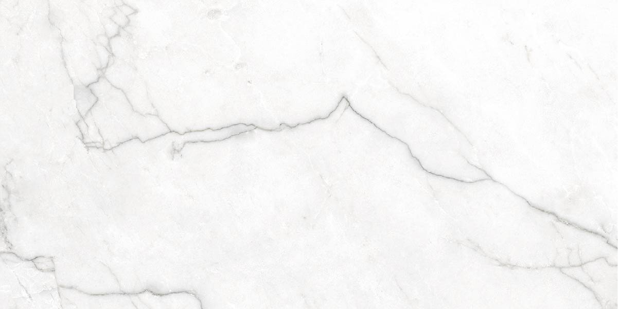 Piastrella Gres Porcellanato – Effetto Marmo – Segesta